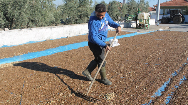 Hasat edilen ürünler sokaklarda kurutuluyor