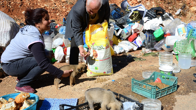 Hayvansever çift çöplükteki köpeklere bakıyor