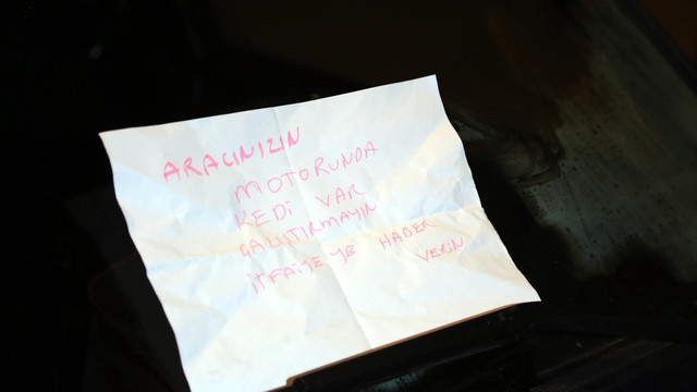 Isınmak için motora giren kedi itfaiye ekibini uğraştırdı