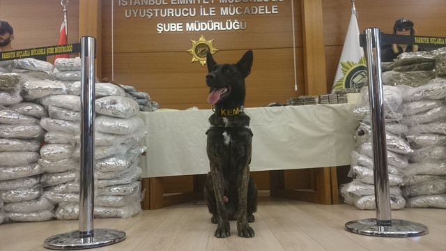 İstanbul'da uyuşturucu operasyonları