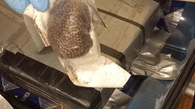 İstanbul'da uyuşturucu operasyonu