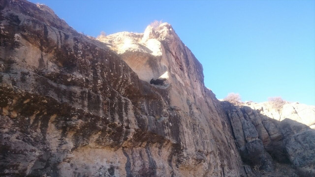İtfaiyeden keçi kurtarma operasyonu
