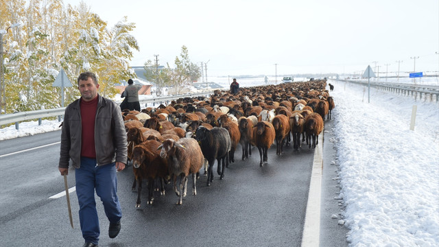 Kar yağışı son göçerleri yolculuğa zorladı