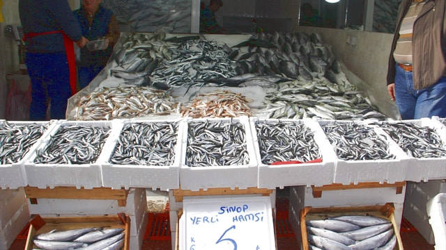 Karadenizli balıkçılar hamsi avında kota uygulaması istiyor