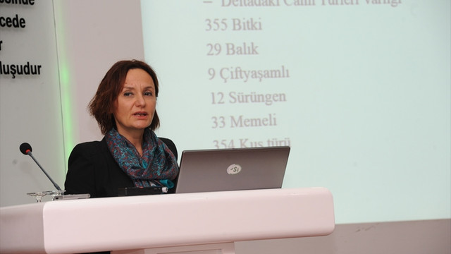 Kızılırmak Deltası Kuş Cenneti'nde kaçak yapılarla mücadele