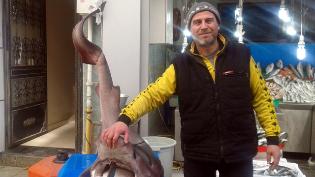 Kocaeli'de camgöz yakalandı