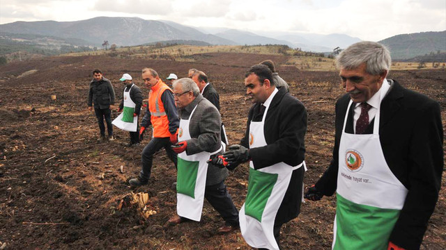 Kütahya'da 35 milyon kızılçam tohumu toprakla buluştu