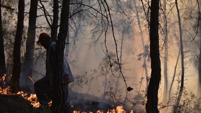 Mersin'de orman yangınları