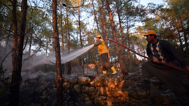Mersin'deki orman yangınları