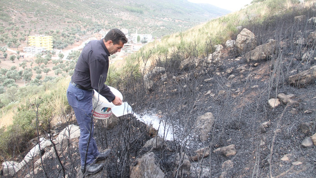 Muğla'da makilik alanda yangın