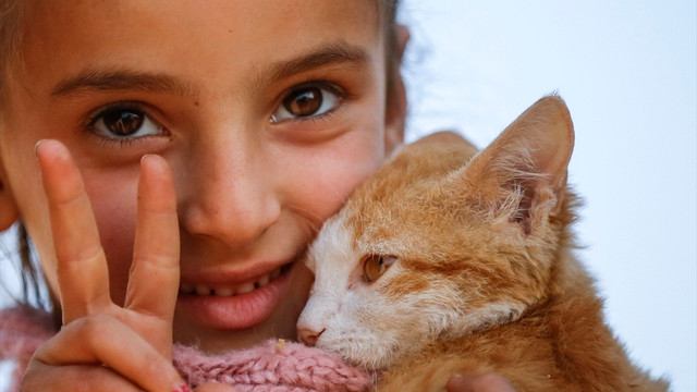 Musul'dan minik kedisiyle kaçtı