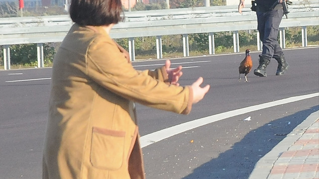 Orman ve Su İşleri Bakanı Eroğlu: