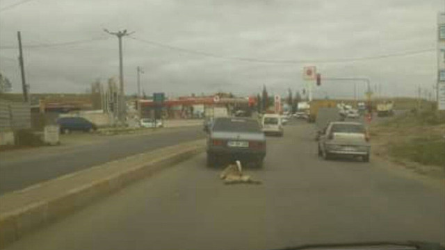 Tekirdağda otomobilin arkasına bağladığı köpeği metrelerce sürükledi