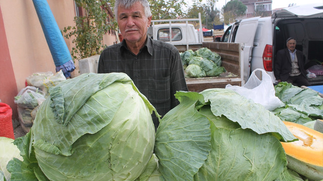 Pazardaki 10 kiloluk lahanalara ilgi