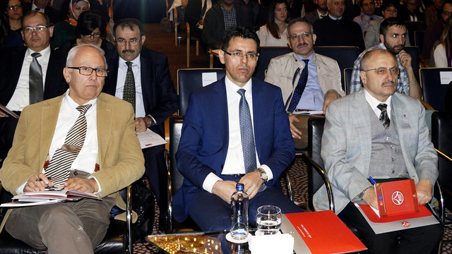 Rekabetçi sektörler programı