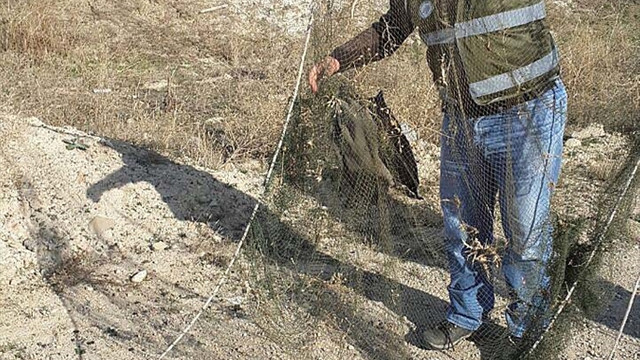 Saka kuşu avlayan kişiye 2 bin 696 lira ceza