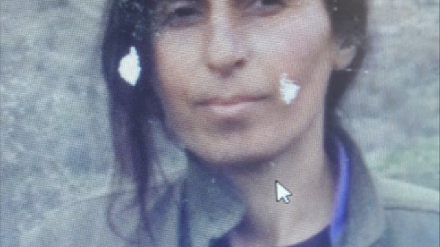 Siirt'te terör operasyonu