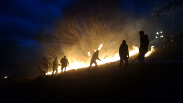 Tokat'ta orman yangını