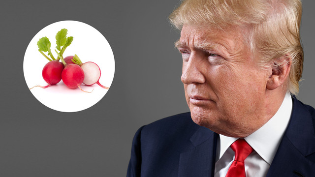 Antalyada bir üretici hayranı olduğu Trump için turp dağıttı