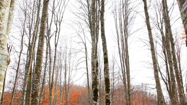 Ulugöl turizm merkezi olmaya aday