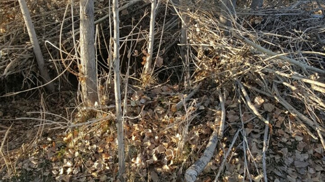 Van'da terör operasyonu