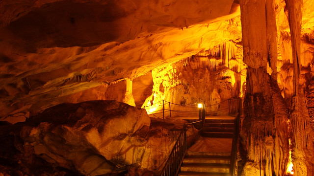 Yarasalar için mağara ziyaretçilere kapatıldı