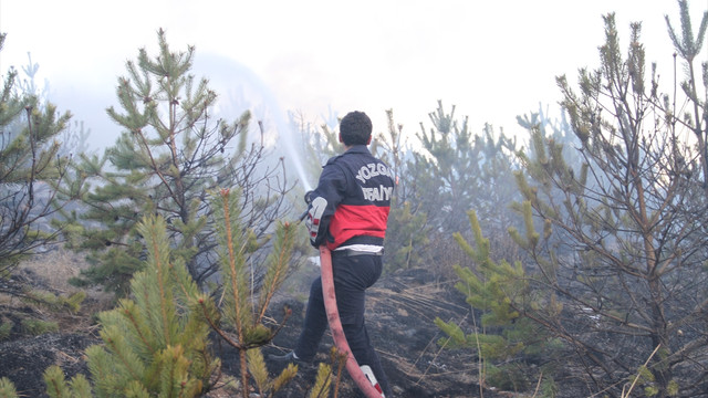 Yozgat'ta orman yangını