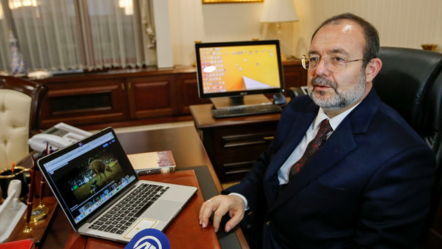 AA'nın Yılın Fotoğrafları oylaması