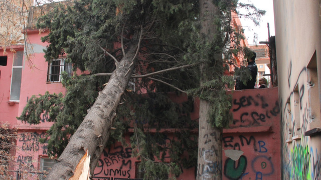 Adana'da fırtına hayatı olumsuz etkiledi