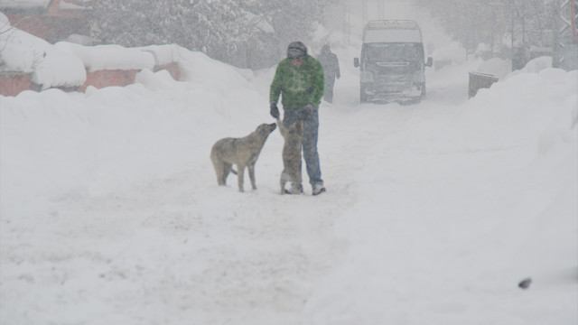 Doğu Anadolu'da kar yağışı