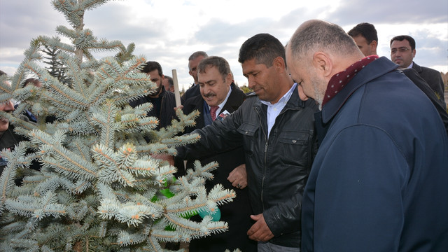 Bakan Eroğlu'ndan şehit Halisdemir'in kabrine ziyaret