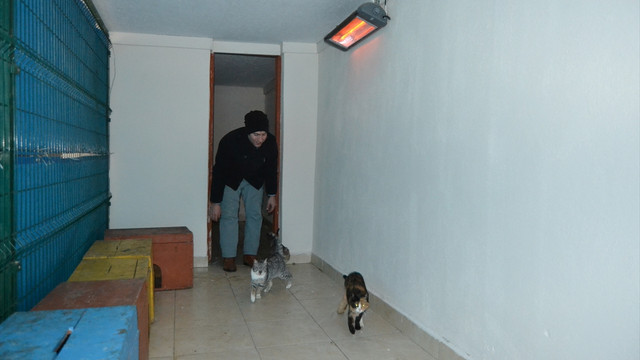 Barınak hayvanlarına elektrikli ısıtıcı hizmeti