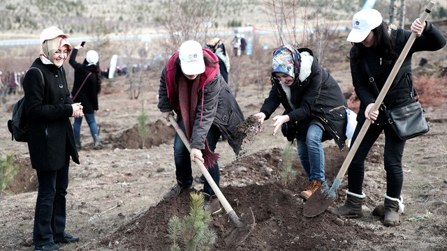 Başkentte öğrenciler fidan dikti