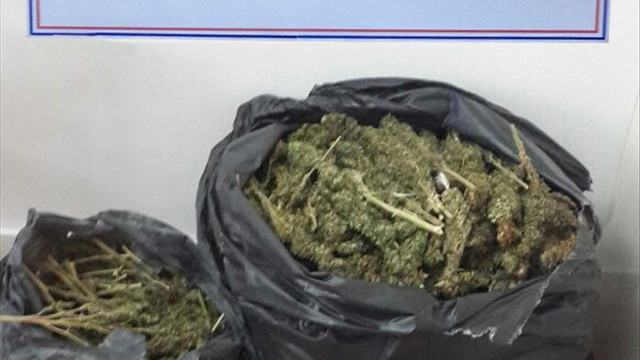 Bingöl'de 16 kilogram esrar ele geçirildi