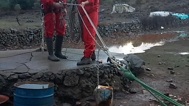 Bodrum'da caretta caretta ve yavru keçi kurtarma operasyonu