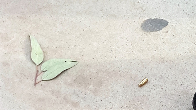 Bodrum'da silahlı ve bıçaklı kavga: 6 yaralı