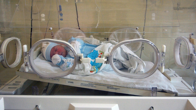 Cami avlusunda bulunan bebek ilgi odağı oldu