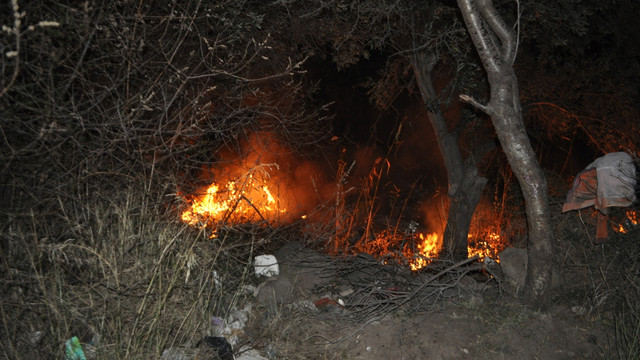 Çanakkale'de zeytinlik yangını