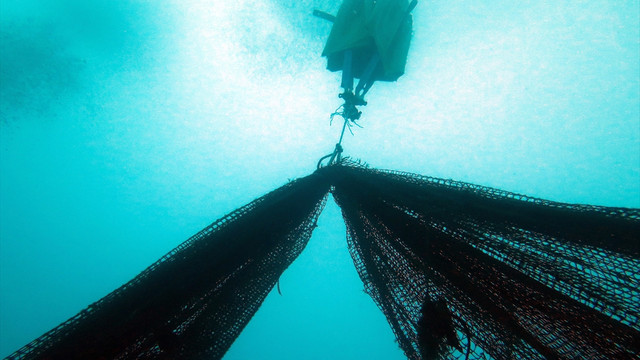 Çanakkale'nin adaları terk edilmiş ağlardan temizlendi
