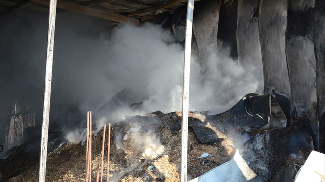 Denizli'de ay çekirdeği deposunda yangın