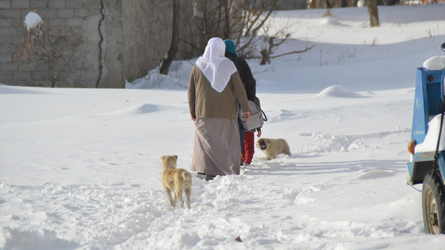Doğu Anadolu'da kar yağışı