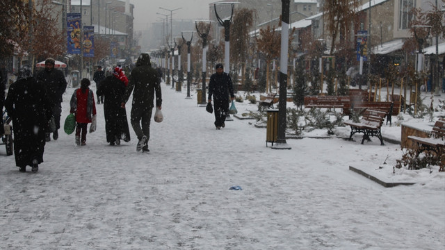 Soğuk hava Taşlıçay deresini dondurdu
