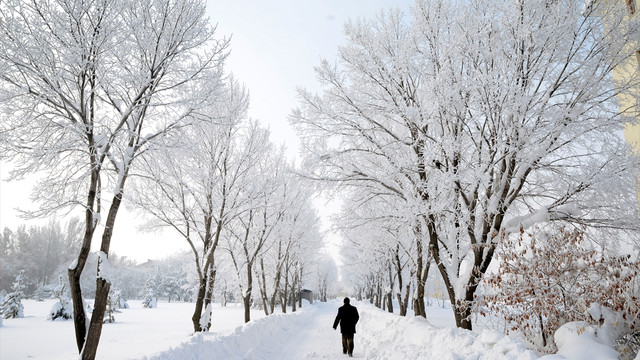 Doğu Anadolu'da kış