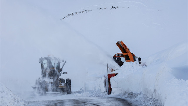 Dokuzuncu gezegende karla mücadele