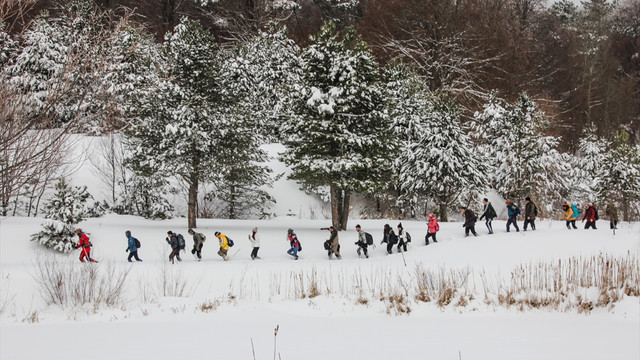 Domaniç dağlarının karlı ormanında yürüyüş keyfi