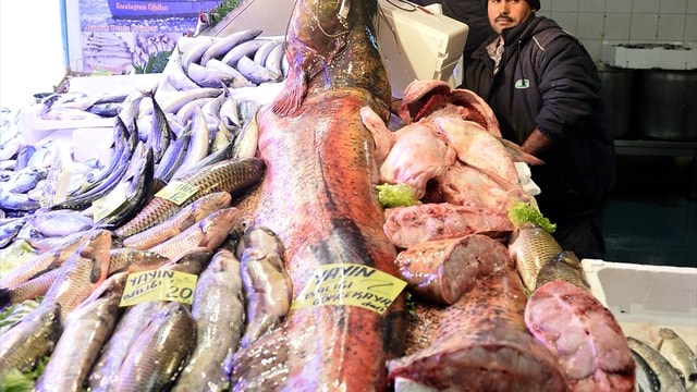 Eskişehir'de 142 kiloluk yayın balığı yakalandı