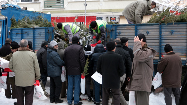 Eskişehir'de Ağaç kesme fidan dik kampanyası