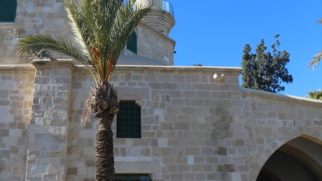 Güney Kıbrıs Rum Kesimi'ndeki Hala Sultan Tekkesi'ne ziyaret