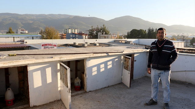 Güvercin hırsızlığı güvenlik kamerasında