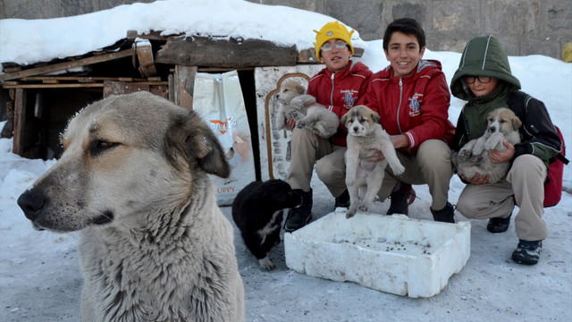 Harçlıklarıyla sokak köpeklerini besleyen öğrencilere destek